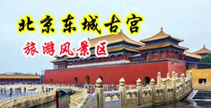 成人操屄视频网站免费中国北京-东城古宫旅游风景区
